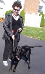 Rehomed when a new baby came, Lilly joined a mini pack of senior beagles and added a lot of energy and high spirits to a quiet household. Her dedicated  Rehomed when a new baby came, Lilly joined a mini pack of senior beagles and added a lot of energy and high spirits to a quiet household. Her dedicated