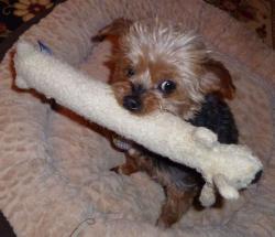 I had to learn to share ... I had to learn to share ...