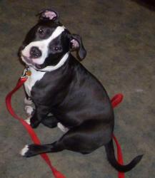 Is this my best side ...? Is this my best side ...?