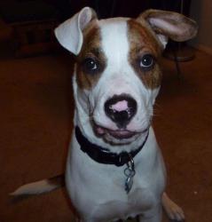 Wanted his own portrait -- sans family! Wanted his own portrait -- sans family!