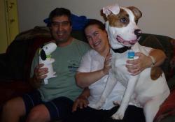 Is truly s lucky dog in a loving home. His new good manners make him a great companion for this busy family. He even plays nicely with the family ferret, Holly!  Is truly s lucky dog in a loving home. His new good manners make him a great companion for this busy family. He even plays nicely with the family ferret, Holly!