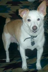 Was a nervous little boy when we first met. He wasn't sure where he fit in and he and his 5 year old Was a nervous little boy when we first met. He wasn't sure where he fit in and he and his 5 year old