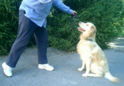 I was a wild boy when I first came home. Now I am as good as gold!    I was a wild boy when I first came home. Now I am as good as gold!