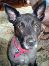 Her name invokes the western desert where she and her siblings were homeless, living at the edge of an Indian Reservation, begging for handouts at a local market. Her rescuer simply could not leave her behind. She is haunted by her early experiences which Her name invokes the western desert where she and her siblings were homeless, living at the edge of an Indian Reservation, begging for handouts at a local market. Her rescuer simply could not leave her behind. She is haunted by her early experiences which