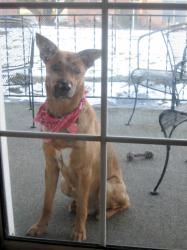 Be Powsitive!!! Be Powsitive!!!