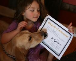 Edison is learning to listen, to sit, stay and down.  He is very good at  Edison is learning to listen, to sit, stay and down.  He is very good at