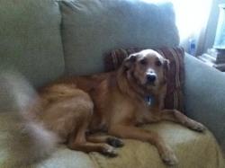 Training was great and very effective. Thank you! Training was great and very effective. Thank you!