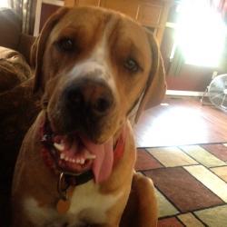 Miss Karol had A LOT of patience with me.  I wasn't real sure I wanted her as a friend until the very end but I'm glad she came :) I'm a much happier boy now. Miss Karol had A LOT of patience with me.  I wasn't real sure I wanted her as a friend until the very end but I'm glad she came :) I'm a much happier boy now.